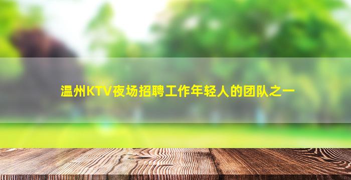温州KTV夜场招聘工作年轻人的团队之一